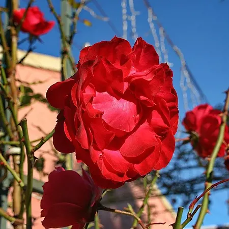 Kardami -country House Holiday home *