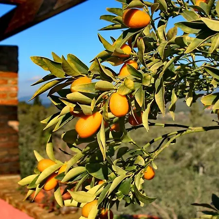Kardami -country House Dom wakacyjny Agios Gordios (Corfu)